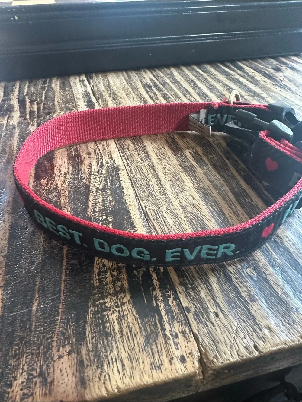 Vivacouture Black Collar with Teal Embroidered Text and Red Stitching